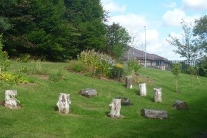 School Garden