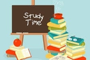 Study Leave & Summer School Icon