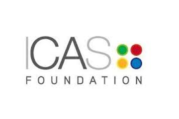 ICAS Foundation - Bursary Icon